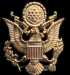 Sid Eagle Wing Badge
